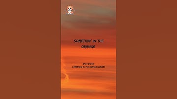 Zach Bryan - Something In The Orange (Lyrics) #lyrics #songlyrics #musiclyrics