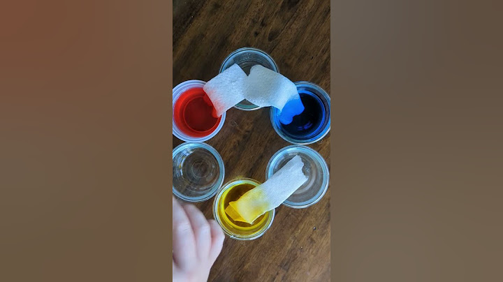 Magic Walking Water Experiment