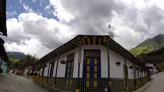 Palmas de Cera (Toche, Tolima)