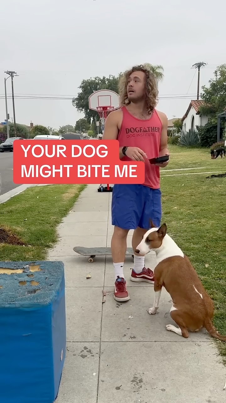 #JasonDeruloTV // Dog Playing Basketball ? From @dogfather360 #JalebiBaby