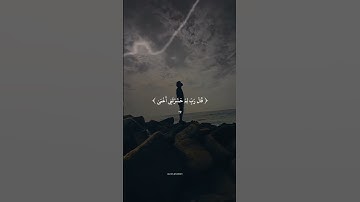تلاوه جميله للشيخ ياسر الدوسري #المصحف #اكسبلور #duet #الرحمن