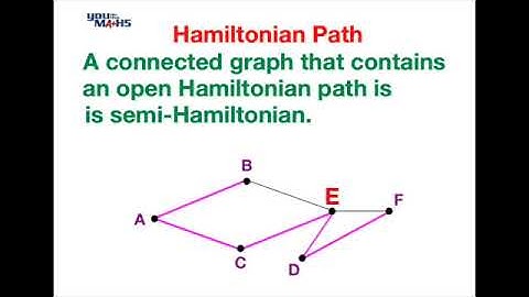 Hamiltonian Path