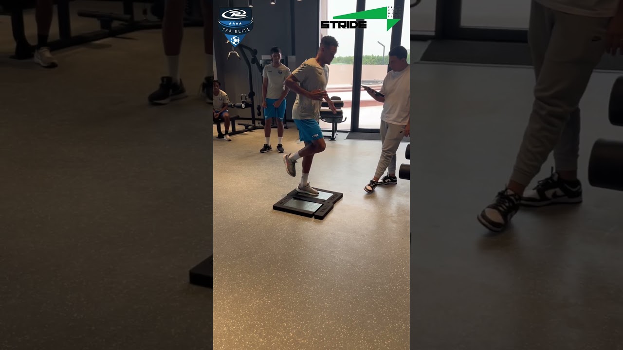 Stride   System Assessment and Movement Analysis T