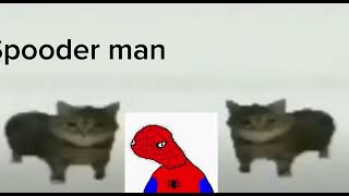 This Is A Spooder Man