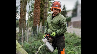 Celebrity Altitude Arborist Work Wealth