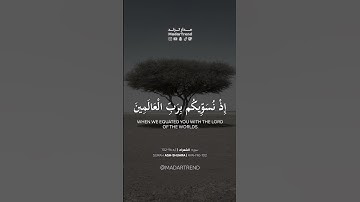 سورة الشعراء - قالوا وهم فيها يختصمون تالله إن كنا لفي ضلال مبين - ياسر الدوسري -مدارترند MadarTrend