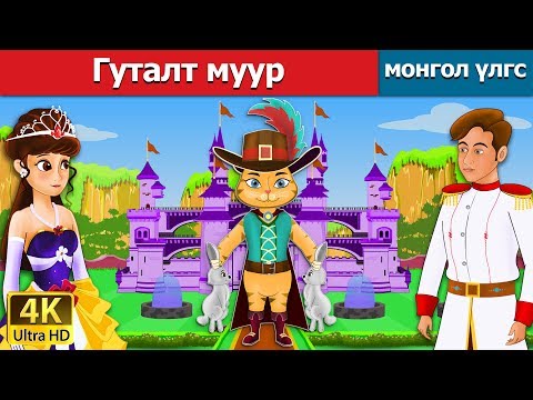 Видео: Муур, нохойны тухай үлгэр - уулзалт