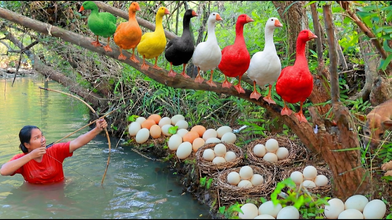 Women Hunting Goose egg at river - Cooking soup Goose egg for dog Eating delicious 4K