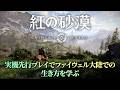 先行実機プレイで『紅の砂漠』の凄さが分かる! プロジェクトマネージャーの解説で広がるファイウェル大陸の魅力【MC:佐伯伊織、豊田萌絵】