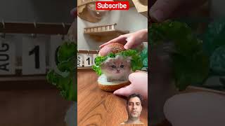 Girlfriend Gets Best Cat Gift In The World #facts​ #viral​ #new​  #trending​ #hearttouching​ .