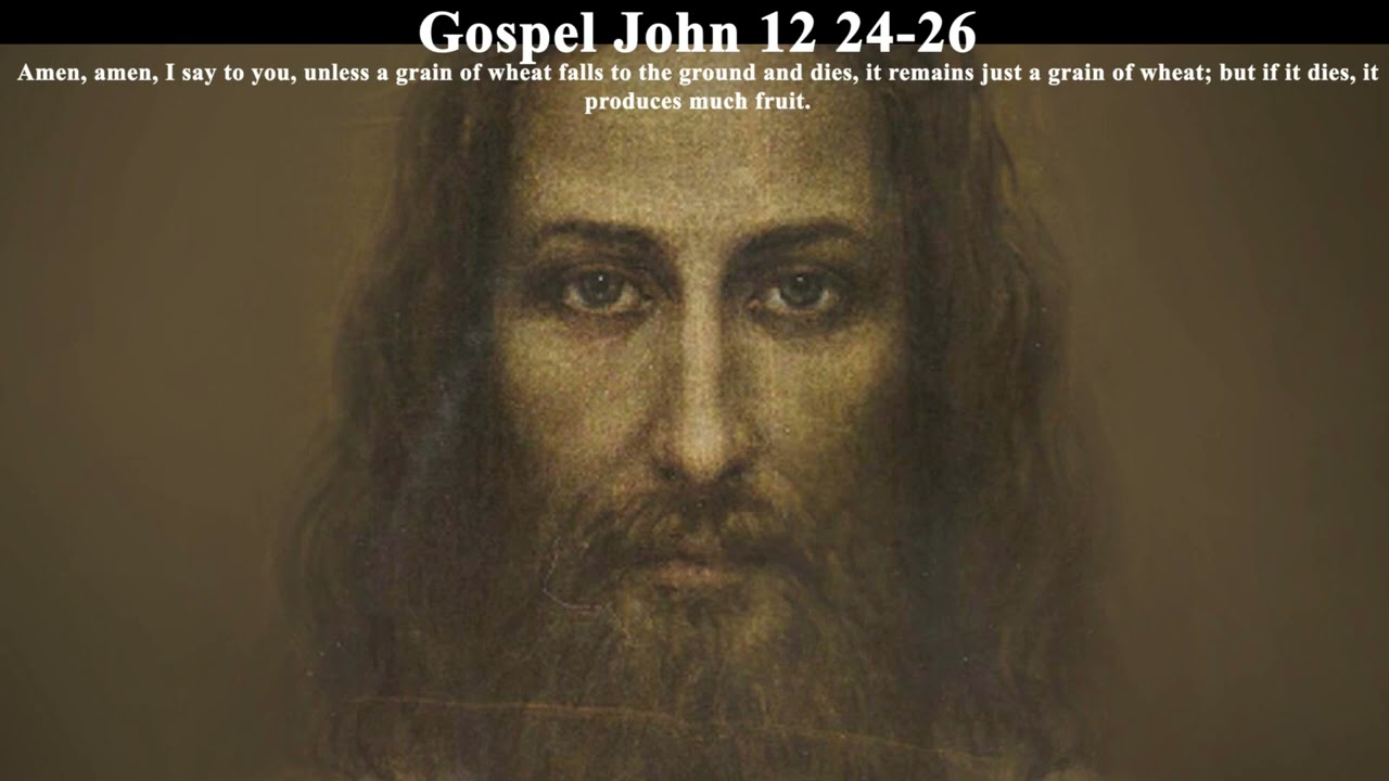Gospel Reflection John 12 24 26 10 August 2023 YouTube Gospel Reflection John 12 24 26 10 August 2023 YouTube