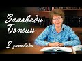 Заповеди Божии для детей, 8 заповедь &quot;Не укради&quot;