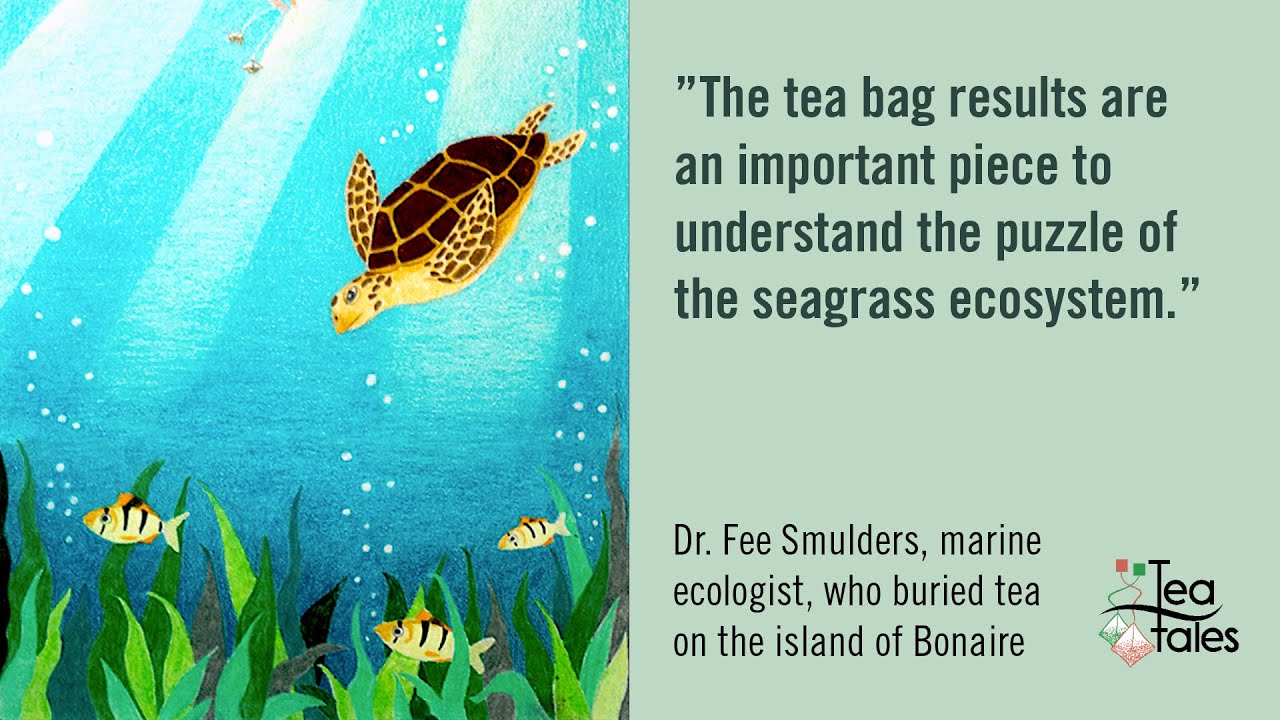 Fee Smulders, Tea Tales