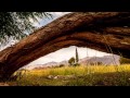 Monasteries of Ladakh - A timelapse journey.