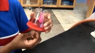Lung Model 1 ( From Ndiya ) Harmony Public School for STEM Educators