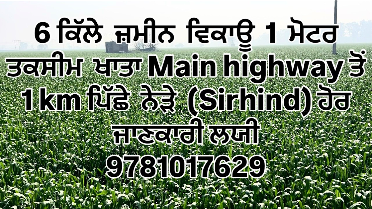 6 kille land for sale 1 Moter connection near Sirhind main highway sa 1km for more details9781017629
