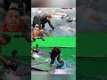كواليس تصوير مشاهد القرش العملاق   كواليس  