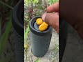 Jbl speaker yellow toffee bass test