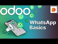 Whatsapp basics  odoo discuss