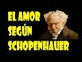 Tag del Amor - El amor según Schopenhauer