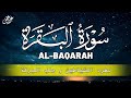            surah alkahf  full  by alaa aql