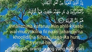 098( সূরা আল বাইয়্যিনাহ سورة البينة Surah Al Bayyinah ❤️ Hafiz Ibrahim