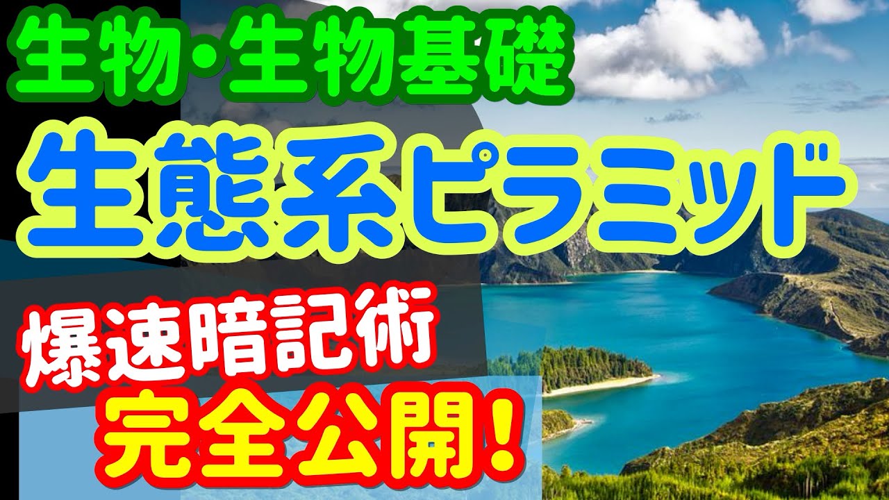 【生物基礎 51】個体群【生態系ピラミッド】を宇宙一わかりやすく