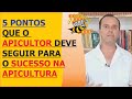 5 PONTOS QUE O APICULTOR DEVE SEGUIR AO INICIAR A IMPLANTAÇÃO DA APICULTURA PARA PRODUZIR MEL