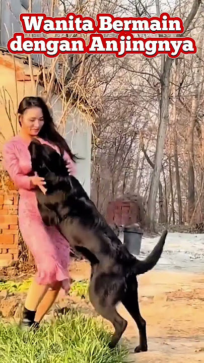 wanita ini bermain bersama anjing peliharaannya #trending #anjing #trendingshorts #peliharaan