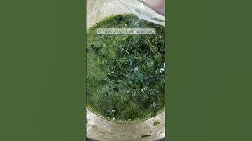 Thumbnail of HERE'S HOW TO MAKE YOUR OWN CLAY CUCKOO AT HOME! SO EASY! #shorts