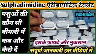 Vet-Bolus:-Sulphadimidine Antibiotic||इस टेबलेट का उपयोग पशुओं की कौन सी बीमारी में कैसे करें