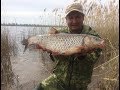 #13 Рыбалка с Берега на Реке Волге Ловля Белого Хищника на Донку Закидушку Голавль