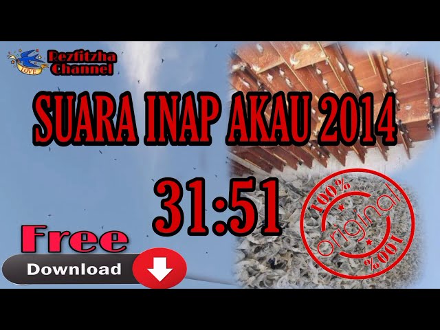 Suara Inap Burung Walet Akau 2014 class=