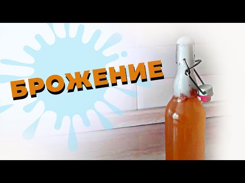 Ферментация брожение.