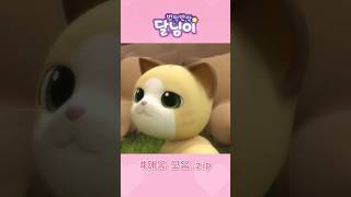 귀여운 고양이 애옹🐱l Cut...