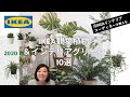 【元IKEAインテリアデザイナーが教える】観葉植物のコーディネート方法&生花と造花のイケアおすすめアイテム10選！