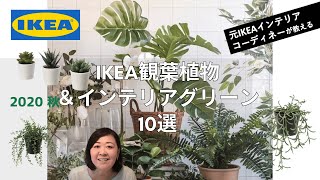 【元IKEAインテリアデザイナーが教える】観葉植物のコーディネート方法&生花と造花のイケアおすすめアイテム10選！