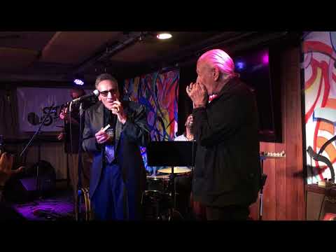 Rick Estrin and The Nightcats with guest Charlie Musselwhite