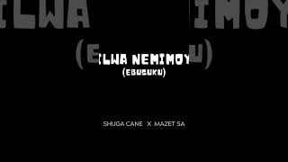 silwanemimoya amapiano shugacane mazetsa