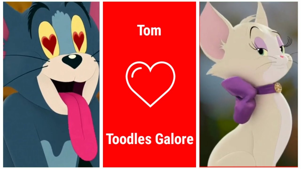 Love at first sight 😻🐾 Tom and Toodles Galore what's app status Tom
