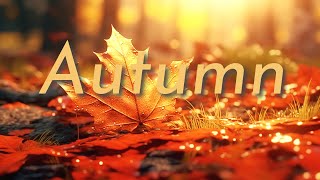 Beautiful Instrumental Guitar Music and Autumn Ambience