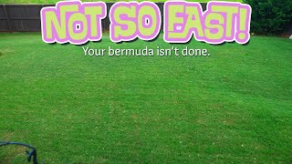 The End is Nigh for Bermuda Lawns... FALSE! #bermudalawncare