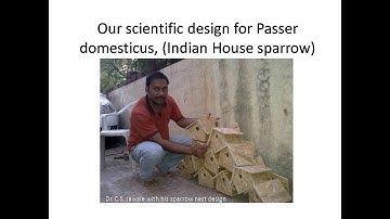 Save Sparrow project Presentation