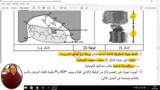 العرض 23 مراجعة التركيب الضوئي حل باك 2016