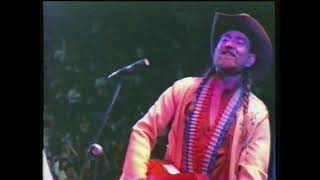 Watch Willie Nelson Till I Gain Control Again video