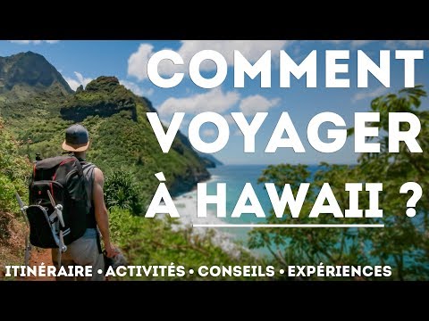 Vidéo: Les Meilleurs Endroits Pour Camper à Hawaii