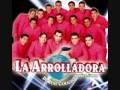 te llevaste lo mejor la arrolladora