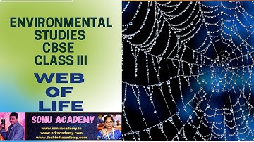 WEB OF LIFE ||  ENVIRONMENTAL STUDIES || CBSE CLASS 3 || #cbse #weblife #foodchain