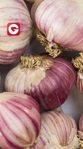 Gesund Leben - Jeden Tag Knoblauch #Rezept #Gesund #Gesundheitsfakten