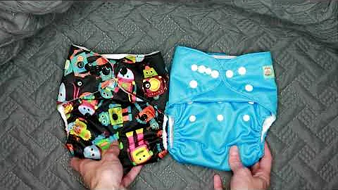 Wegreeco Cloth Diaper Review